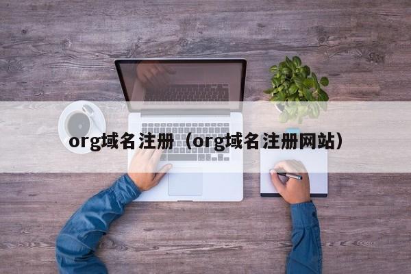 org域名注册（org域名注册网站）