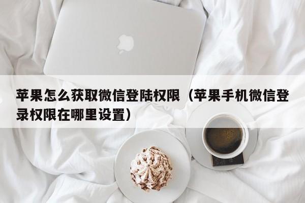 苹果怎么获取微信登陆权限（苹果手机微信登录权限在哪里设置）