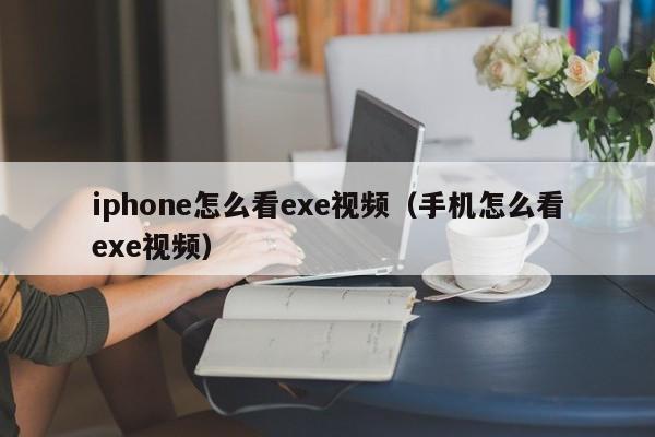 iphone怎么看exe视频（手机怎么看exe视频）