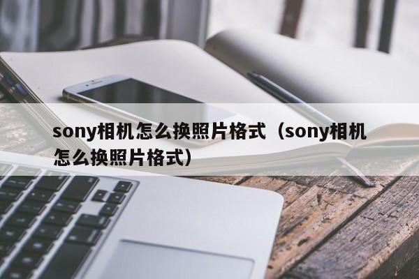 sony相机怎么换照片格式（sony相机怎么换照片格式）