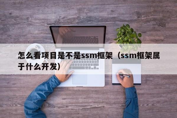 怎么看项目是不是ssm框架（ssm框架属于什么开发）