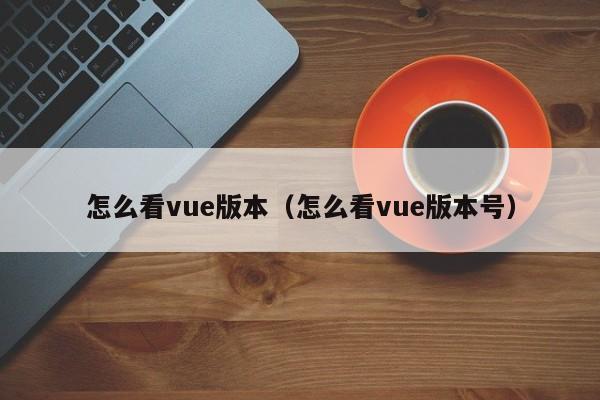 怎么看vue版本（怎么看vue版本号）