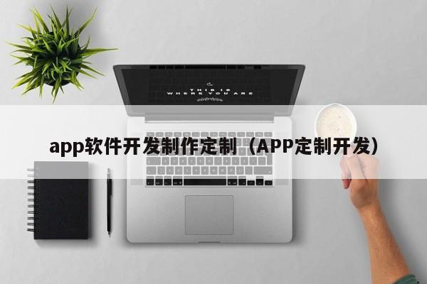 app软件开发制作定制（APP定制开发）