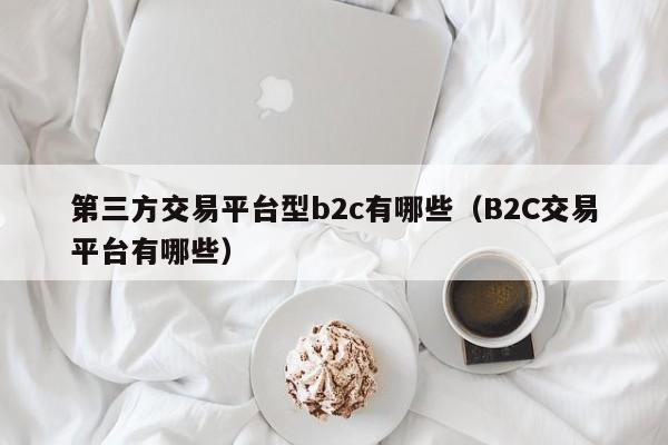 第三方交易平台型b2c有哪些（B2C交易平台有哪些）