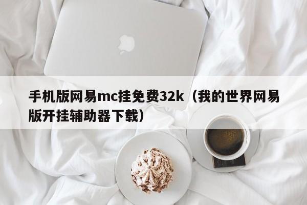 手机版网易mc挂免费32k（我的世界网易版开挂辅助器下载）