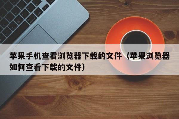 苹果手机查看浏览器下载的文件（苹果浏览器如何查看下载的文件）