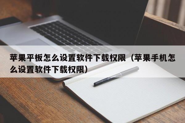 苹果平板怎么设置软件下载权限（苹果手机怎么设置软件下载权限）